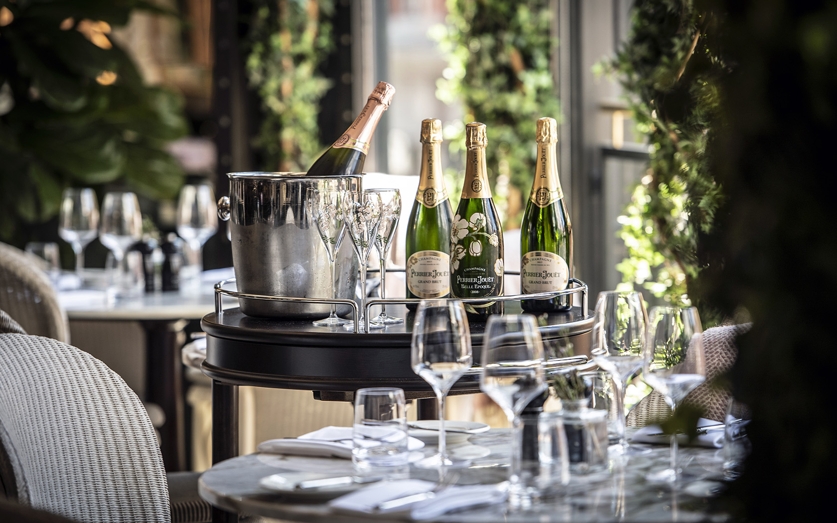 Fine Dining Dublin Restaurant Near Grafton Street, Dublin 2 WILDE